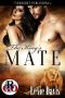 [Romance on the Go 00] • The King's Mate